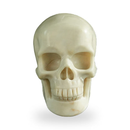 Ivory Jade crystal skull 3" SKH30IJ06 photo 1