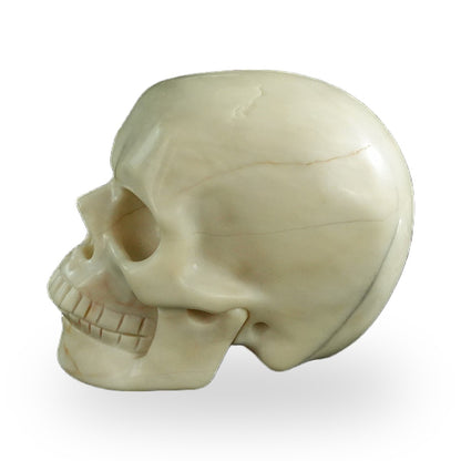 Ivory Jade crystal skull 3" SKH30IJ06 photo 6