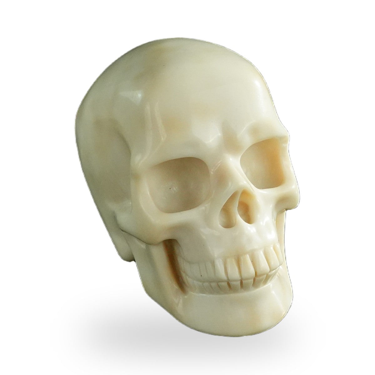 Ivory Jade crystal skull 3" SKH30IJ13 photo 2