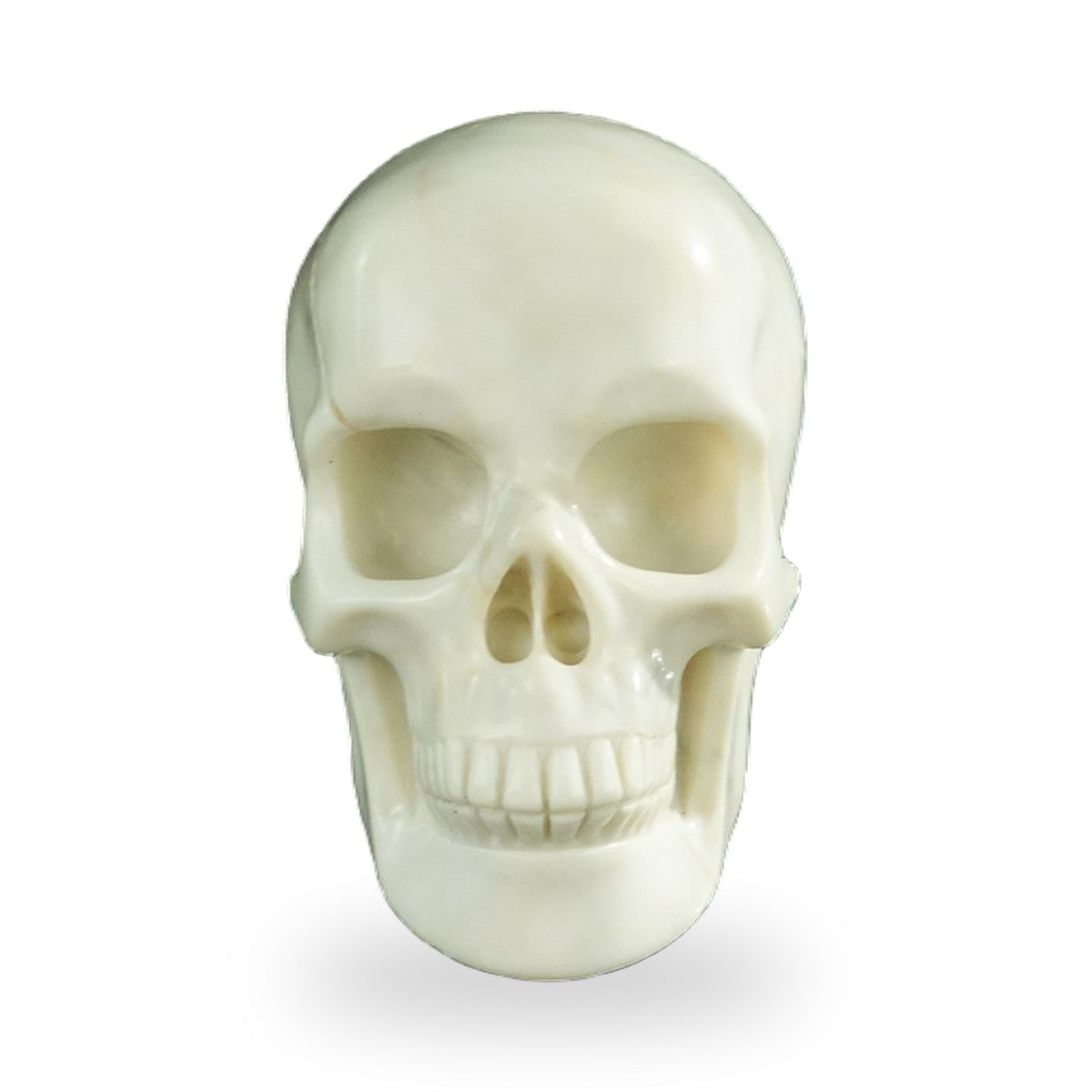 Ivory Jade crystal skull 3" SKH30IJ20 photo 1