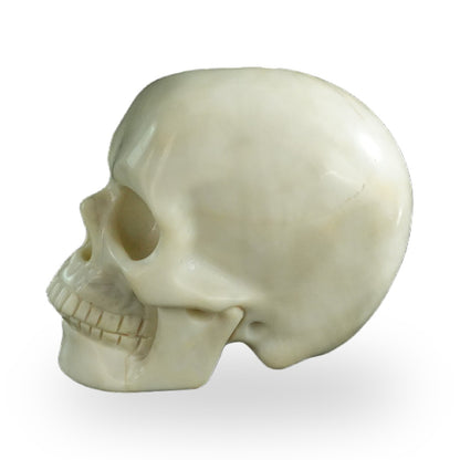 Ivory Jade crystal skull 3" SKH30IJ20 photo 6