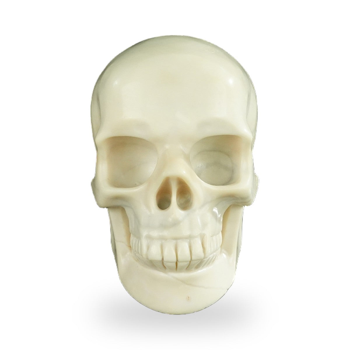 Ivory Jade crystal skull 4.5" SKH45IJ01 hand carved gemstone