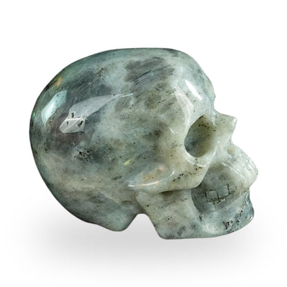 Labradorite crystal skull 4.5" SKH45LA02 photo 4