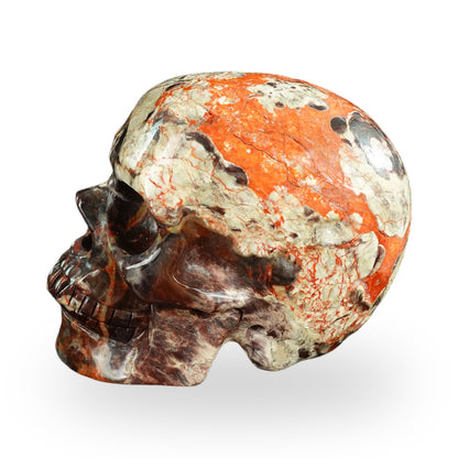 Money agate crystal skull 4.5" SKH45MG01 view 5