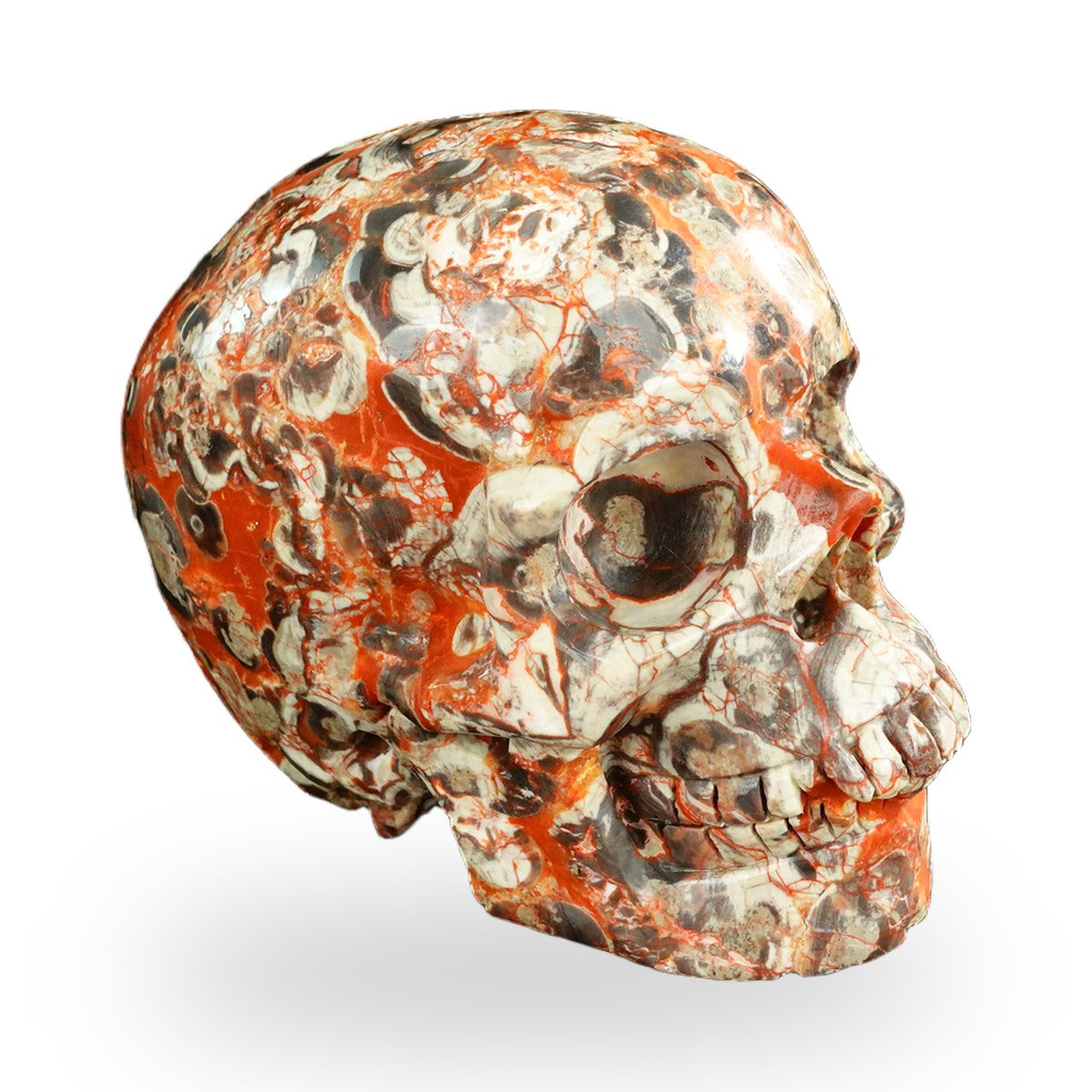 Money agate crystal skull 4.5" SKH45MG02 photo 3