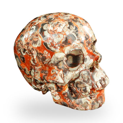 Money agate crystal skull 4.5" SKH45MG02 photo 3