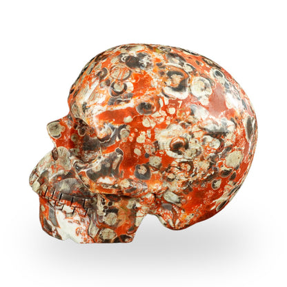 Money agate crystal skull 4.5" SKH45MG02 photo 5
