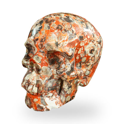 Money agate crystal skull 4.5" SKH45MG02 photo 6