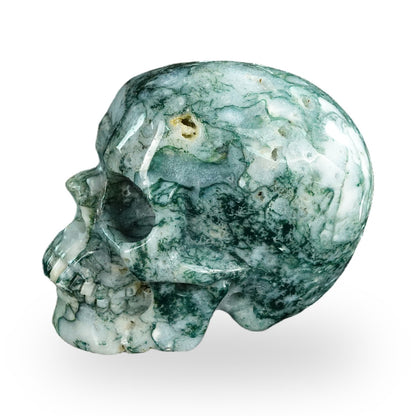 Moss Agate crystal skull 4.5" SKH45MA01 view 5
