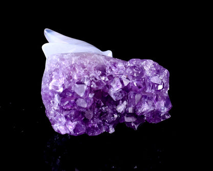 Nicedony 1.7" Amethyst Druse Agate Hand Carved Dragon Skull Sculpture - View 4