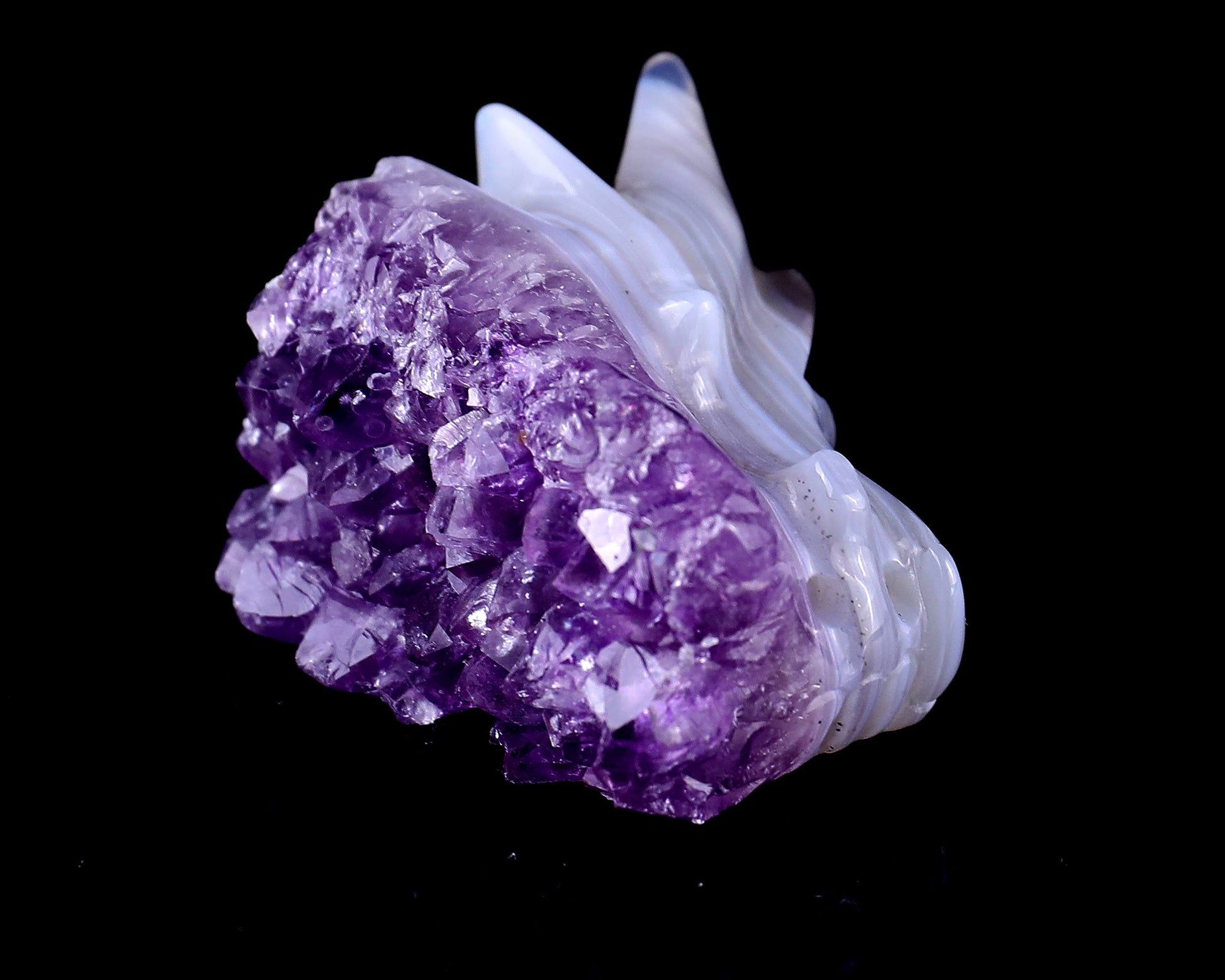 Nicedony 1.7" Amethyst Druse Agate Hand Carved Dragon Skull Sculpture - View 3