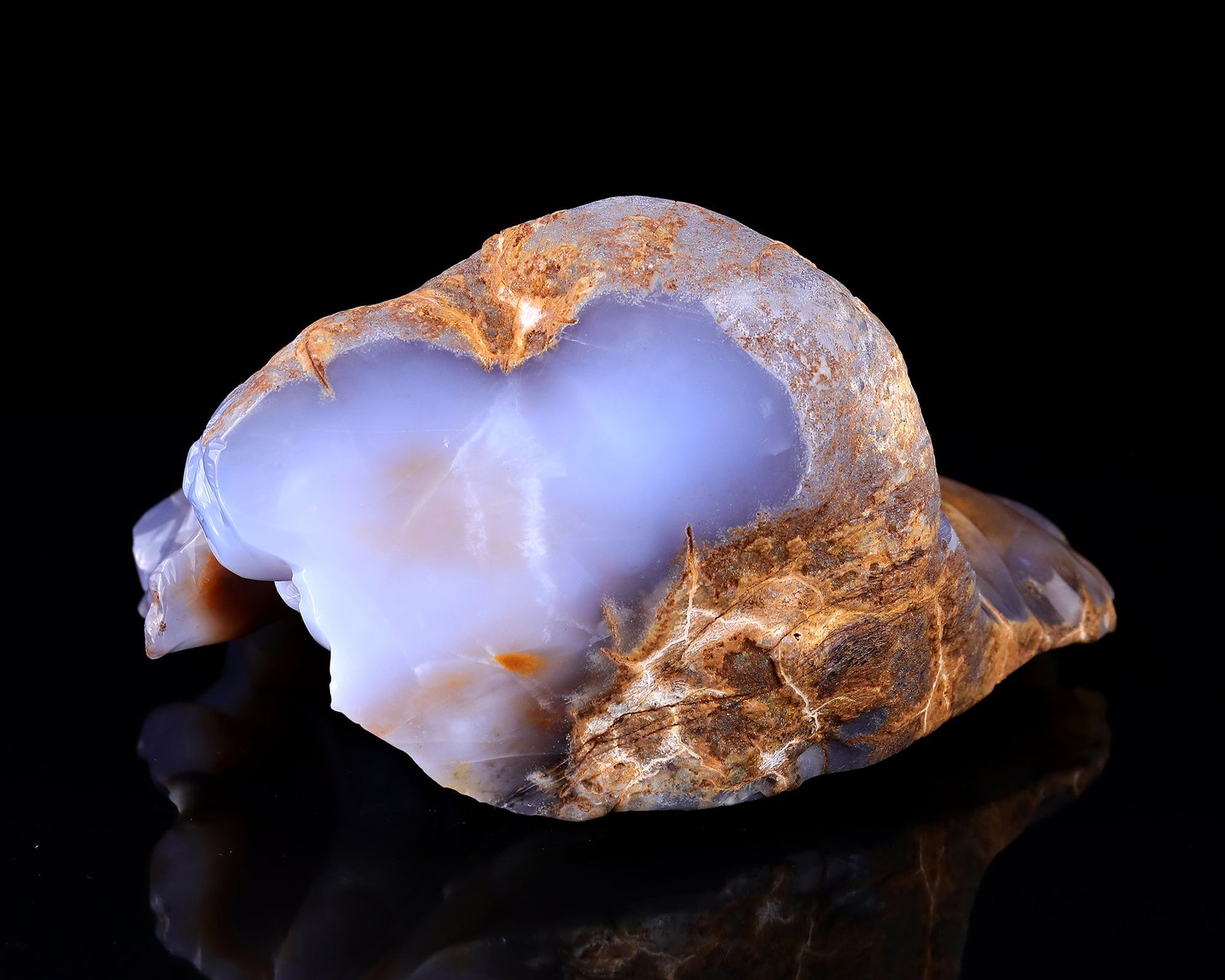 Nicedony 10.2" Chalcedony Hand Carved Elephant Head and Skull - View 6