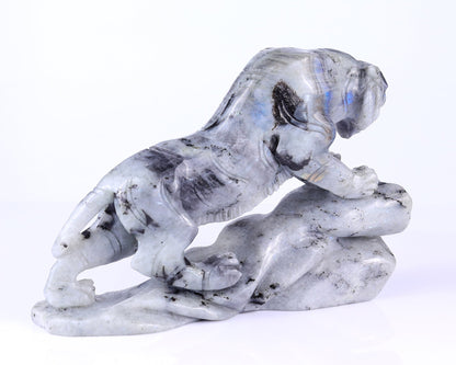 Nicedony 10.2" Labradorite Hand Carved Crystal Tiger Sculpture - View 4
