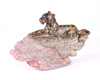 Nicedony 10.2" Leopard Skin Jasper Hand Carved Crystal Leopard Sculpture - View 7