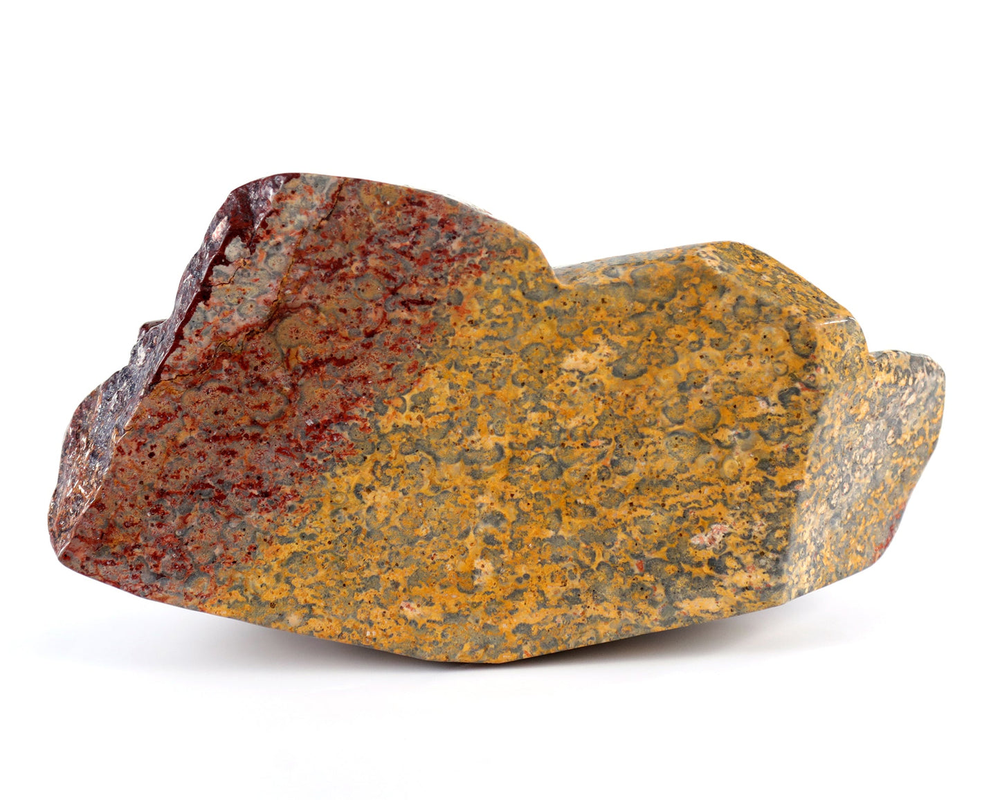 Nicedony 10.8" Leopard Skin Jasper Hand Carved Crystal Leopard Sculpture - View 3