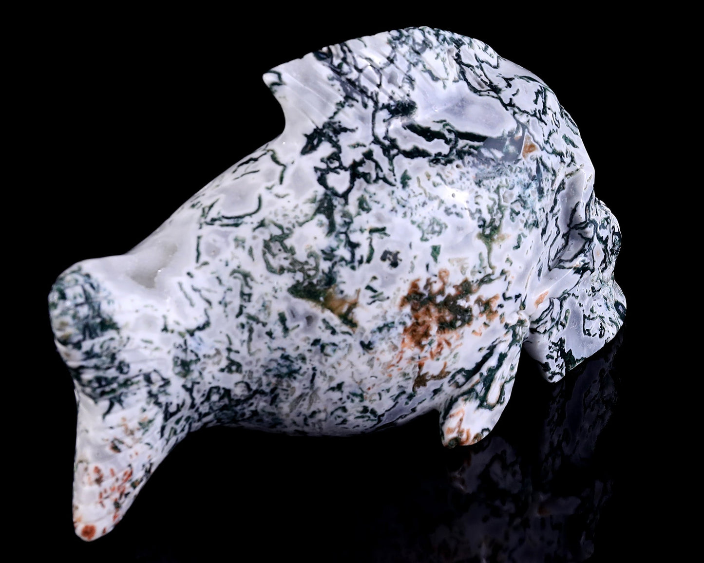 Nicedony 11.4" Moss Agate Hand Carved Crystal Fish Shape Skull Sculpture - View 4