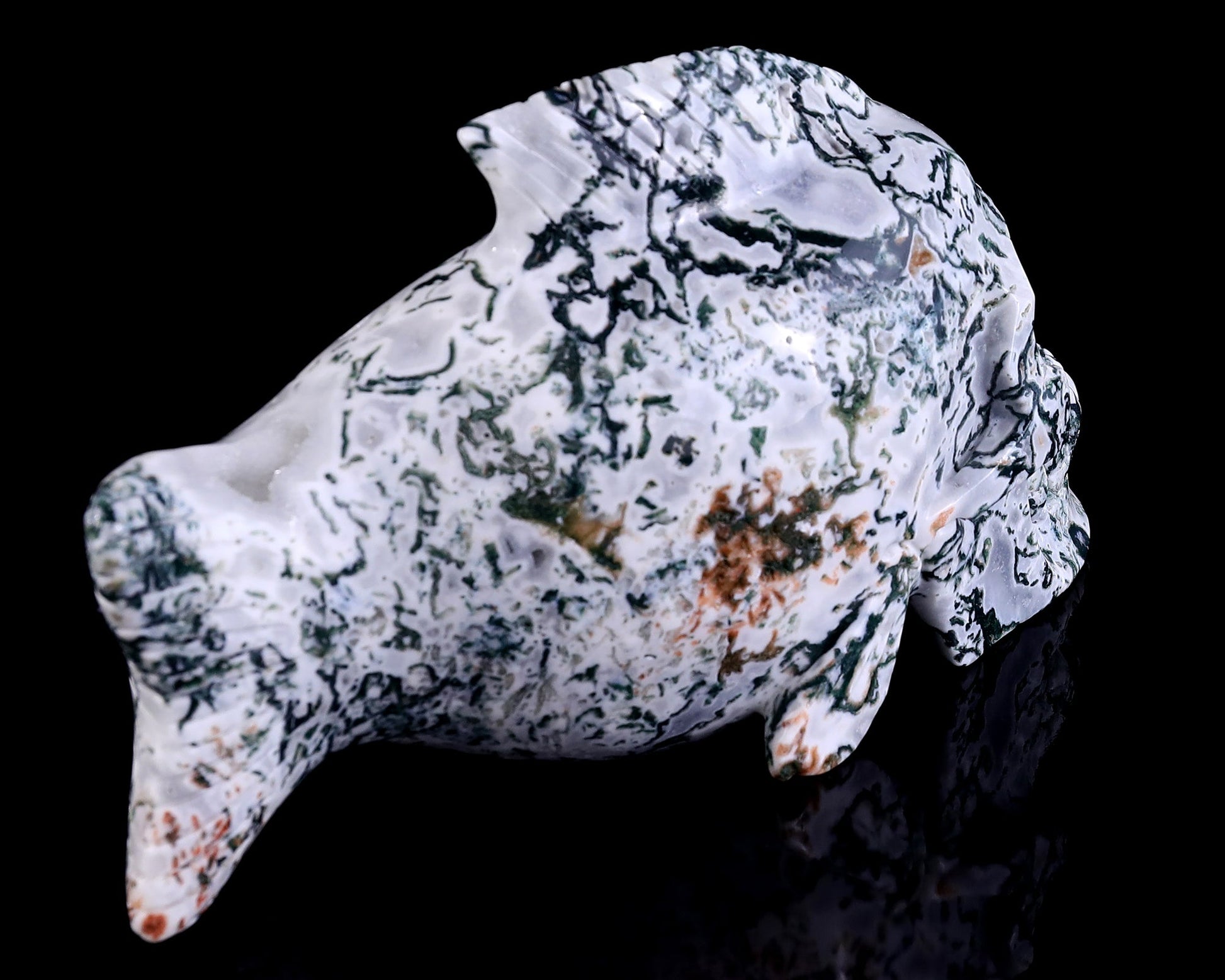 Nicedony 11.4" Moss Agate Hand Carved Crystal Fish Shape Skull Sculpture - View 4