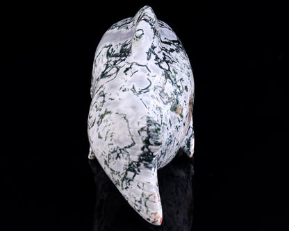 Nicedony 11.4" Moss Agate Hand Carved Crystal Fish Shape Skull Sculpture - View 5