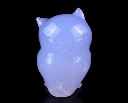 Nicedony 2.0" Blue Chalcedony Hand Carved Crystal Owl Sculpture - View 5