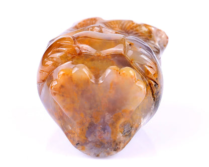 Nicedony 2.0" Chalcedony Hand Carved Crystal Owl Sculpture - View 6