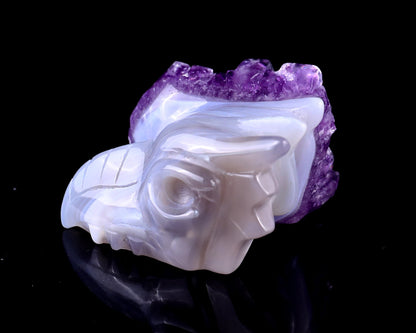 Nicedony 2.1" Amethyst Druse Agate Hand Carved Phoenix Skull - View 5