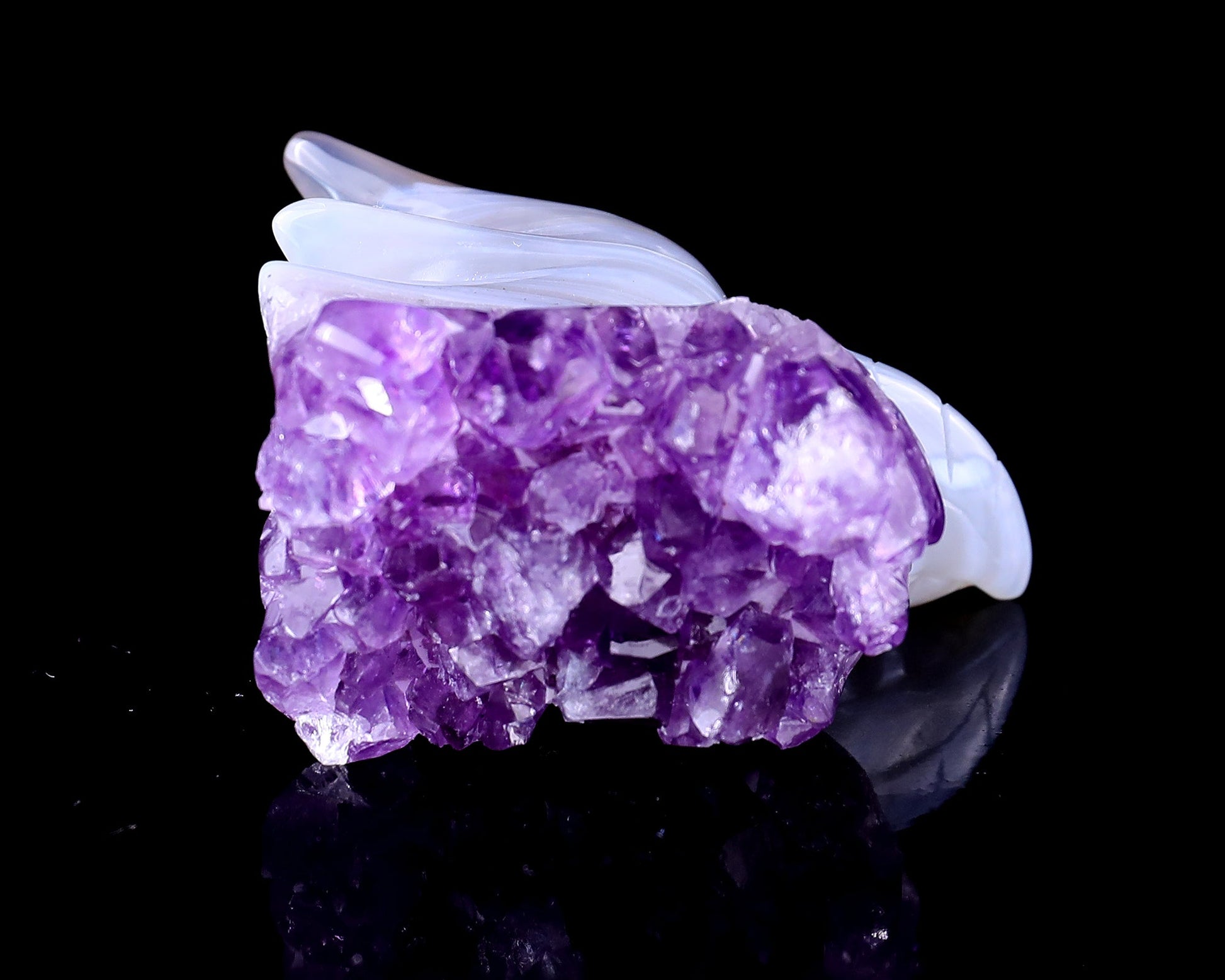 Nicedony 2.1" Amethyst Druse Agate Hand Carved Phoenix Skull - View 3