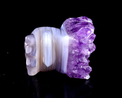Nicedony 2.1" Amethyst Druse Agate Hand Carved Phoenix Skull - View 4