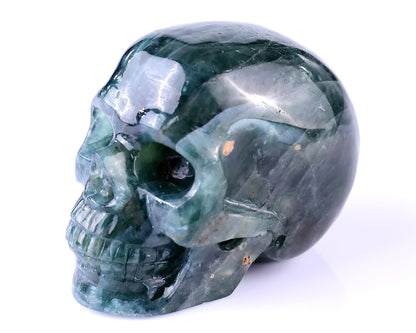 Nicedony 2.2" Blue Apatite Hand Carved Realistic Skull Sculpture - View 8