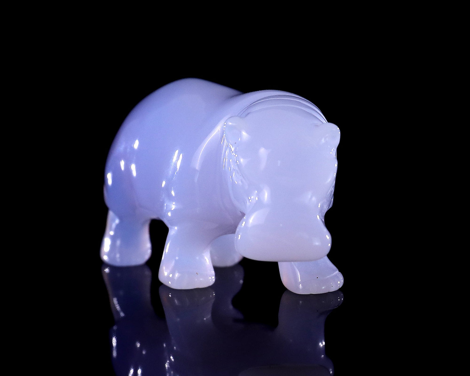 Why We Carve Animals