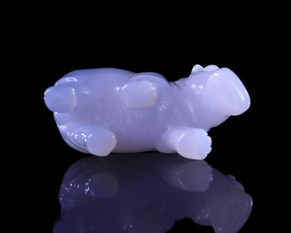 Nicedony 2.2" Blue Chalcedony Hand Carved Crystal Hippo Sculpture - View 8