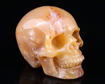 Nicedony 2.2" Chalcedony Hand Carved Realistic Skull Sculpture - View 8