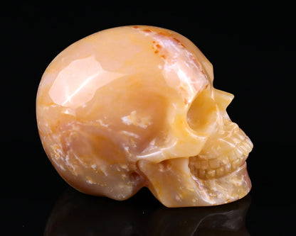 Nicedony 2.2" Chalcedony Hand Carved Realistic Skull Sculpture - View 10