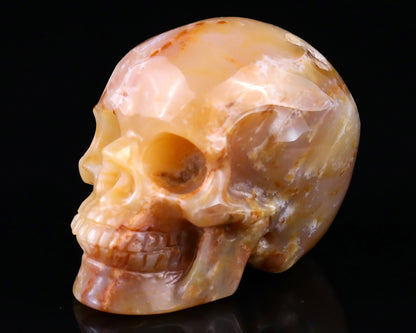 Nicedony 2.2" Chalcedony Hand Carved Realistic Skull Sculpture - View 14
