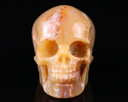 Nicedony 2.2" Chalcedony Hand Carved Realistic Skull Sculpture - View 9