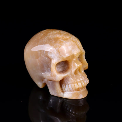Nicedony 2.2" Chalcedony Hand Carved Realistic Skull Sculpture - View 15