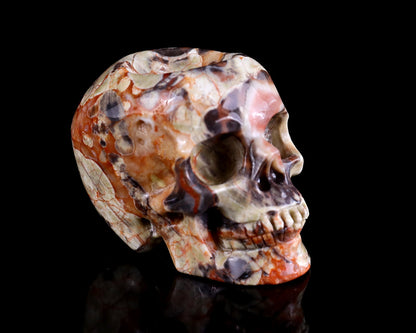 Nicedony 2.2" Coin Agate Hand Carved Realistic Skull Ball Stand - View 3