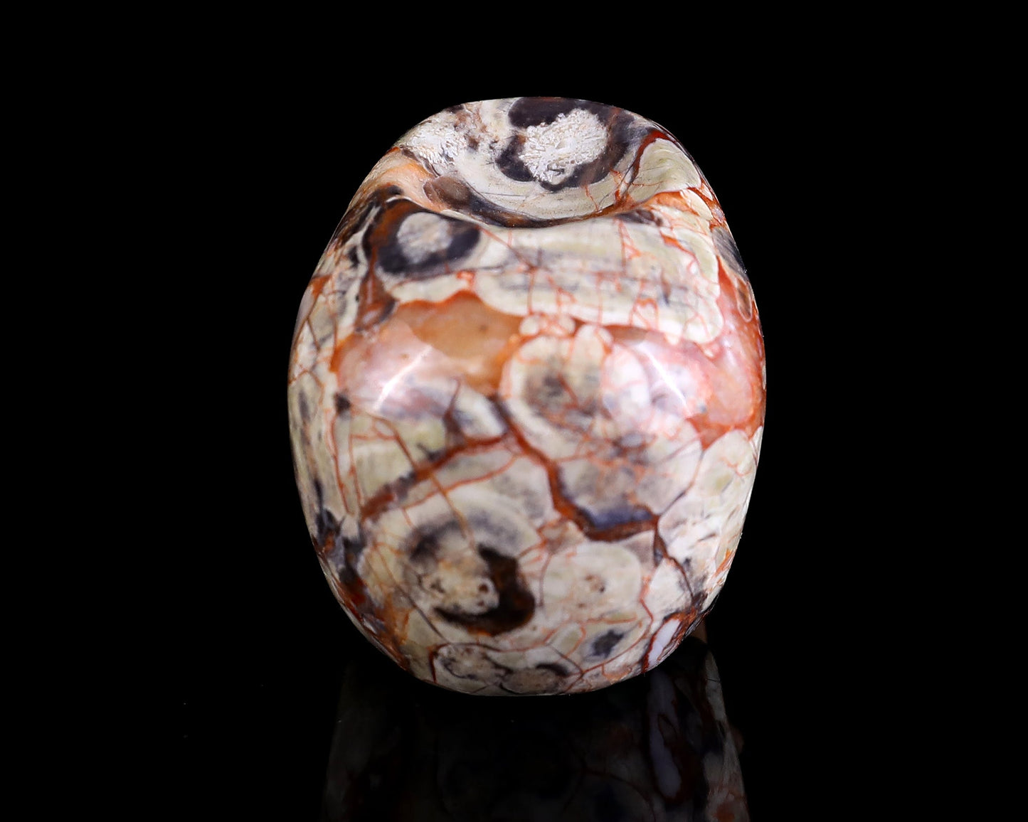 Nicedony 2.2" Coin Agate Hand Carved Realistic Skull Ball Stand - View 4