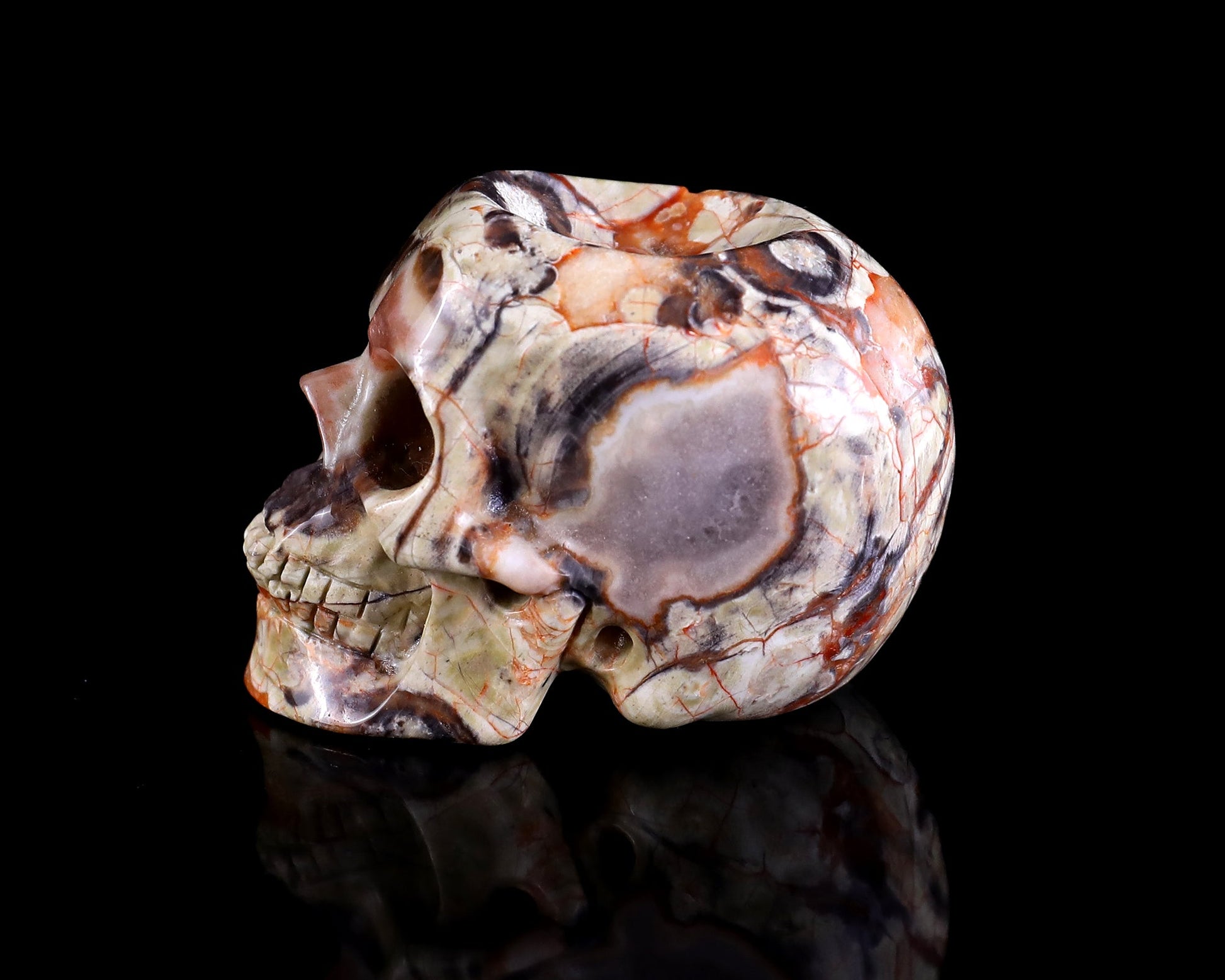 Nicedony 2.2" Coin Agate Hand Carved Realistic Skull Ball Stand - View 5