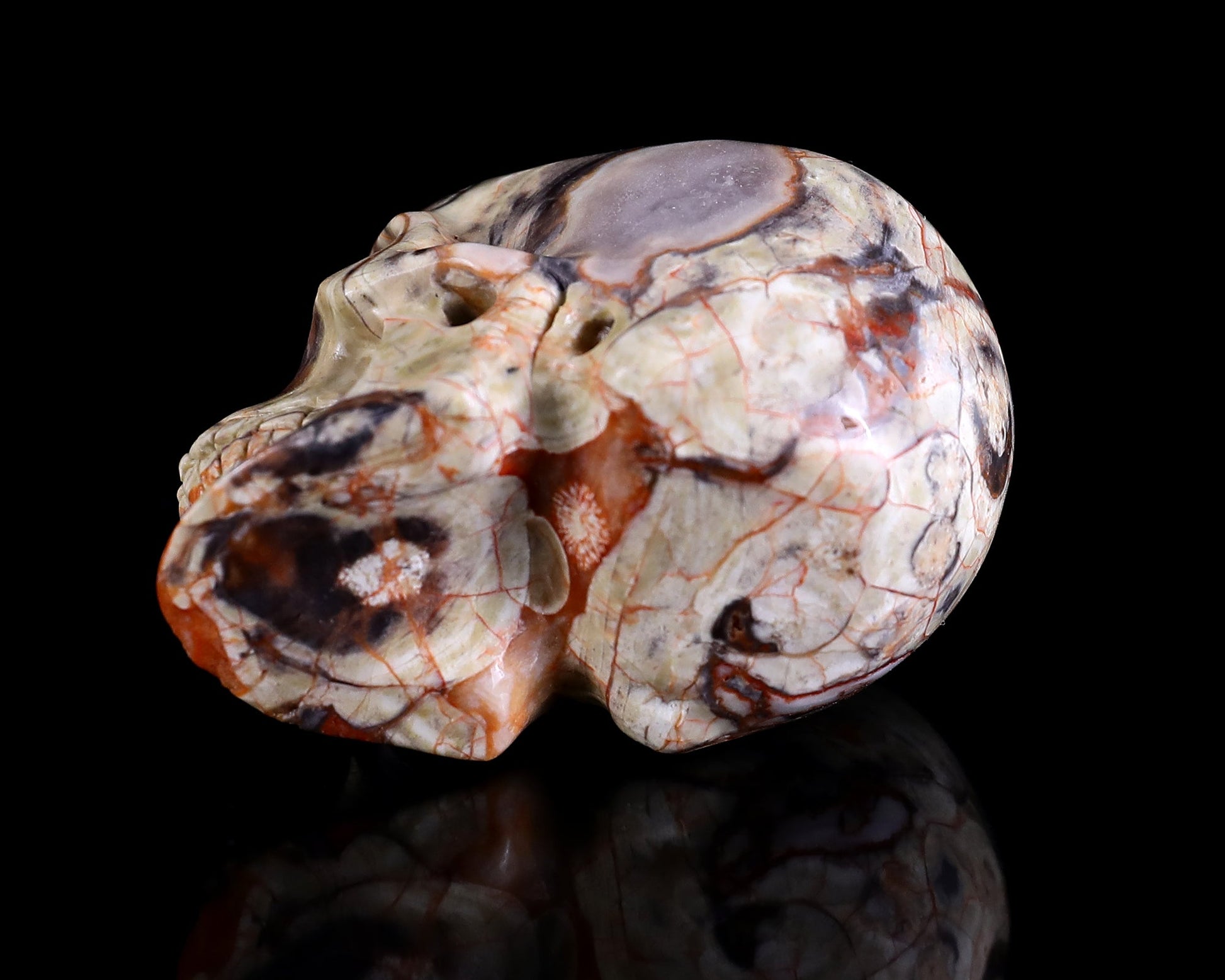 Nicedony 2.2" Coin Agate Hand Carved Realistic Skull Ball Stand - View 6