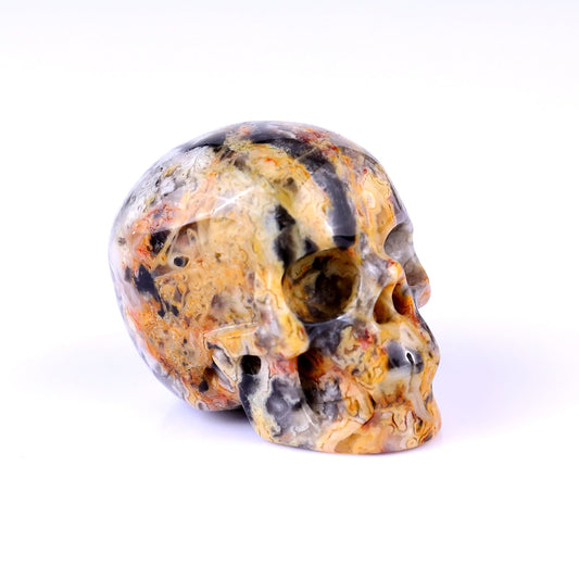 Nicedony 2.2" Crazy Agate Hand Carved Realistic Skull Sculpture