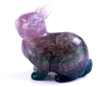 Nicedony 2.2" Fluorite Hand Carved Crystal Rabbit Sculpture - View 25
