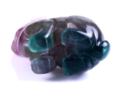 Nicedony 2.2" Fluorite Hand Carved Crystal Rabbit Sculpture - View 26