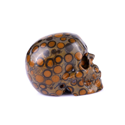 Nicedony 2.2" Leopard Skin Jasper Hand Carved Realistic Skull - View 13