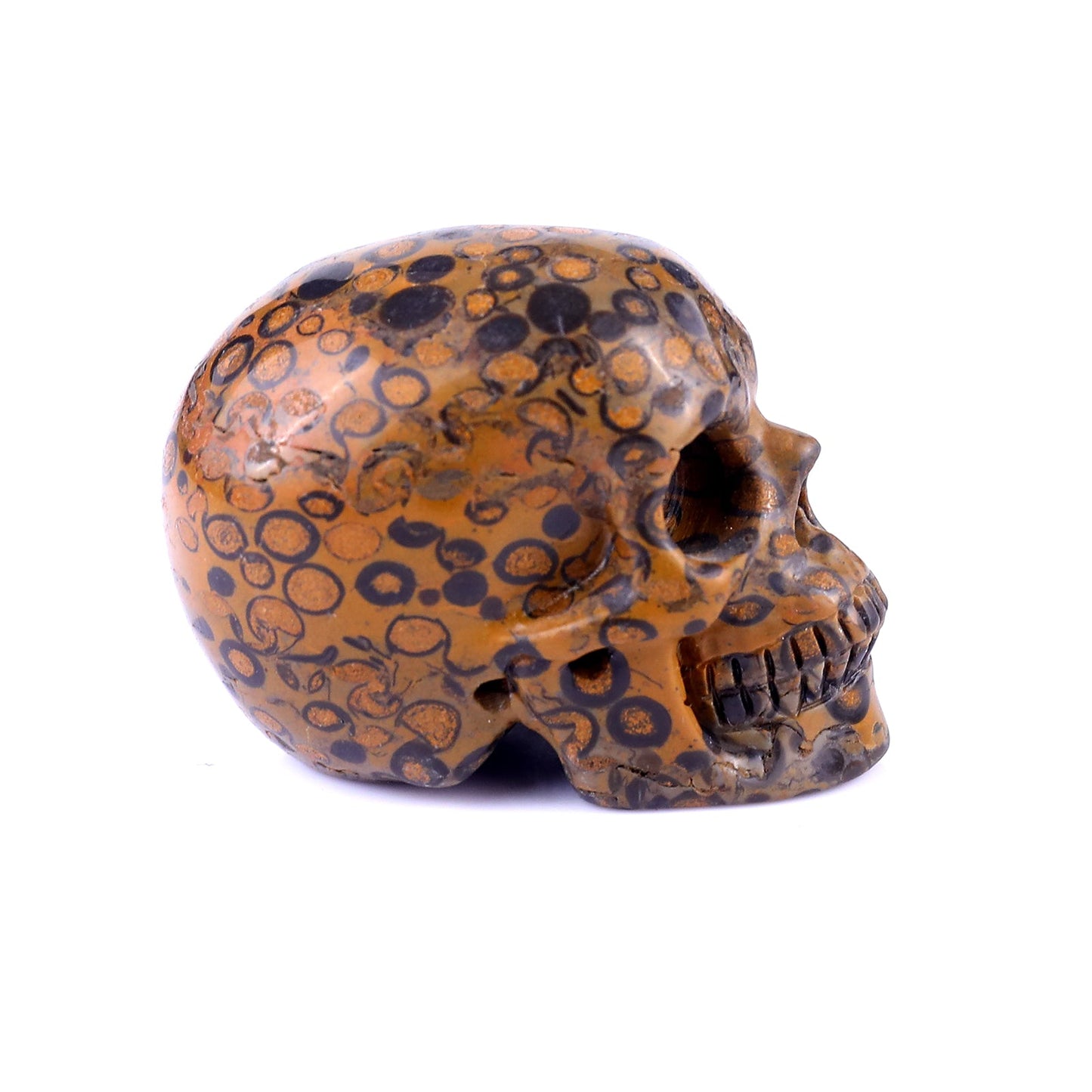 Nicedony 2.2" Leopard Skin Jasper Hand Carved Realistic Skull - View 20