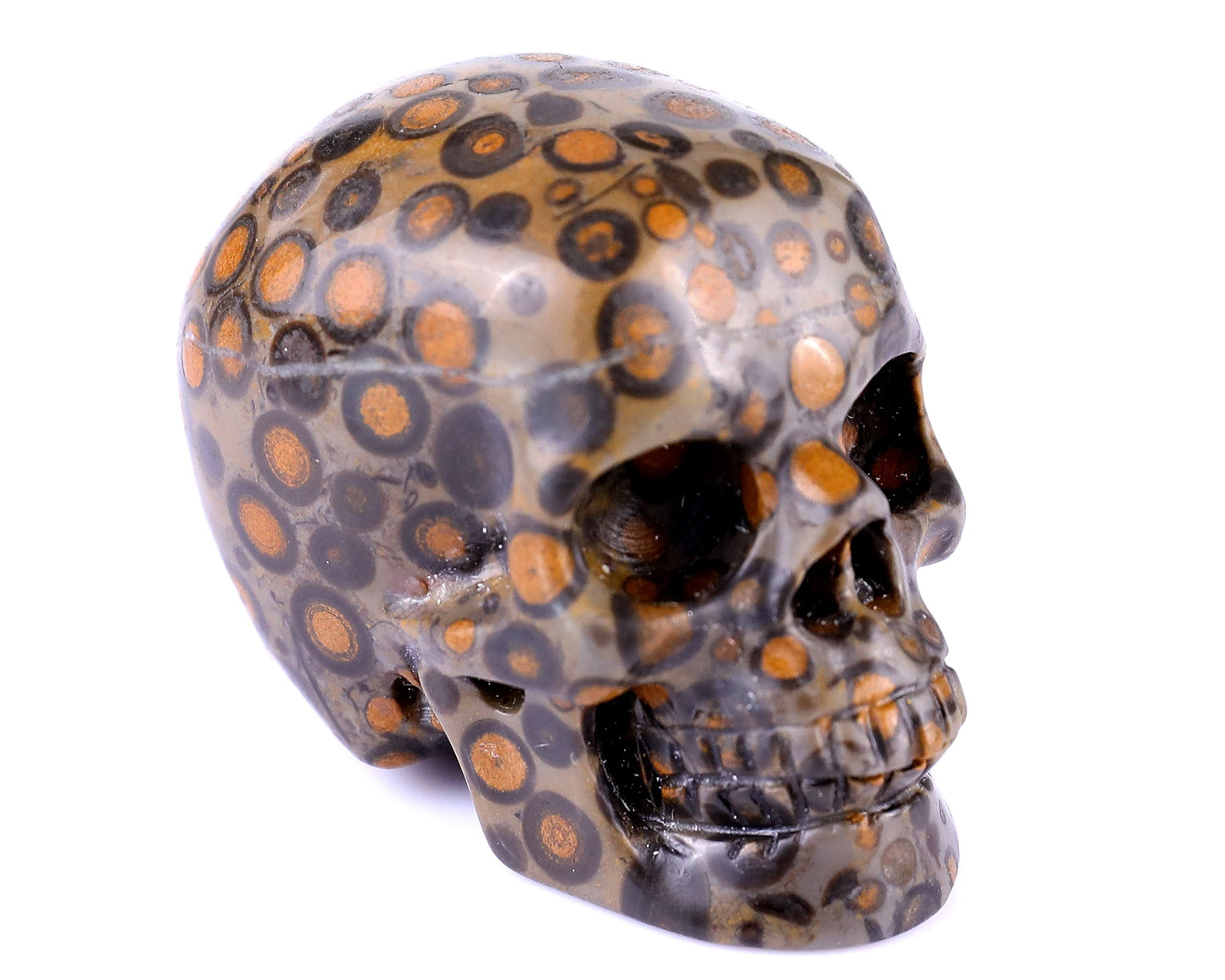 Nicedony 2.2" Leopard Skin Jasper Hand Carved Realistic Skull - #5100120