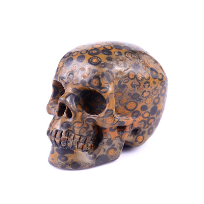 Nicedony 2.2" Leopard Skin Jasper Hand Carved Realistic Skull - View 24