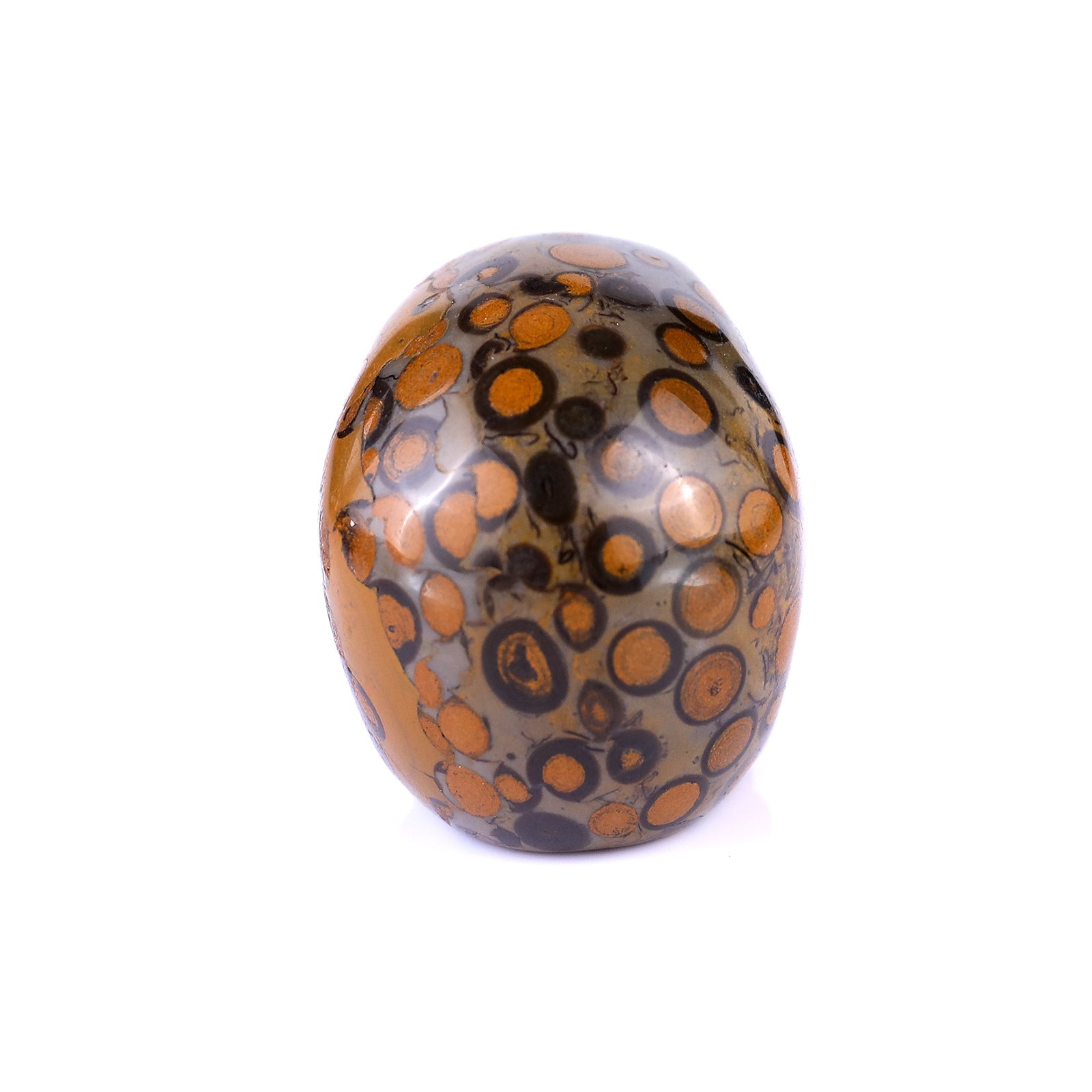 Nicedony 2.2" Leopard Skin Jasper Hand Carved Realistic Skull - View 15
