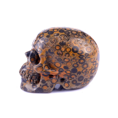 Nicedony 2.2" Leopard Skin Jasper Hand Carved Realistic Skull - View 21