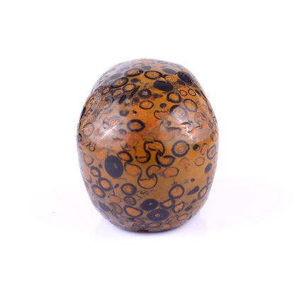 Nicedony 2.2" Leopard Skin Jasper Hand Carved Realistic Skull - View 23
