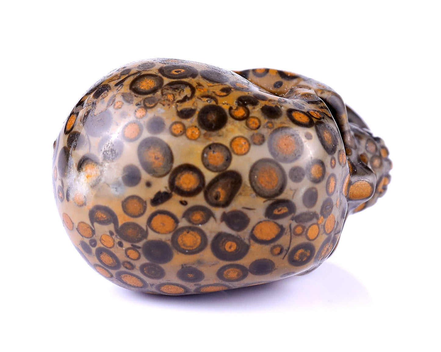 Nicedony 2.2" Leopard Skin Jasper Hand Carved Realistic Skull - View 9